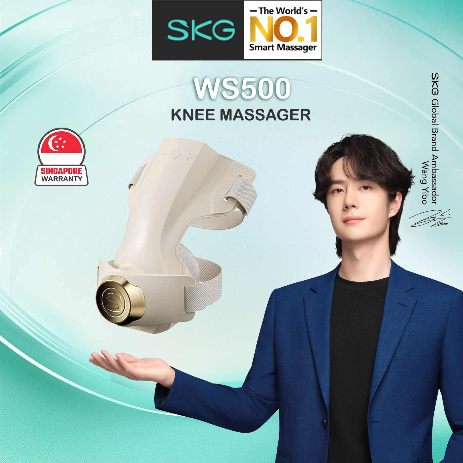 skg-ws500